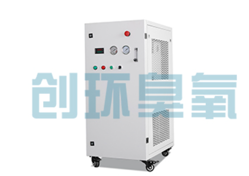 饶阳石斑鱼养殖水质调控完整指南：臭氧发生器配置与操作步骤
