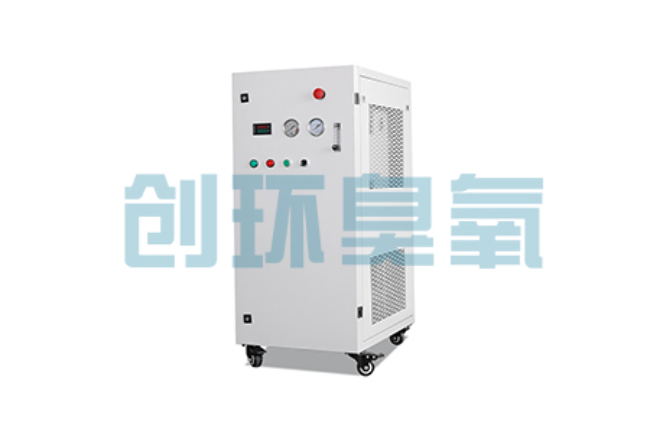 饶阳比传统换水更高效？臭氧发生器在石斑鱼养殖中的水质净化原理解析