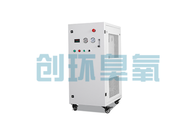 饶阳比传统换水更高效?臭氧发生器在石斑鱼养殖中的水质净化原理解析